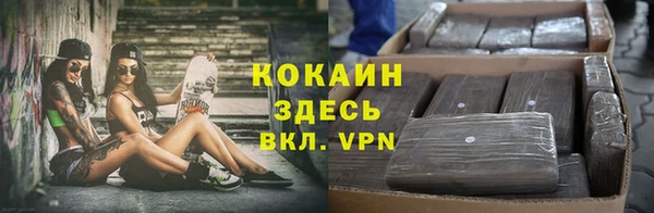 дурь Волосово