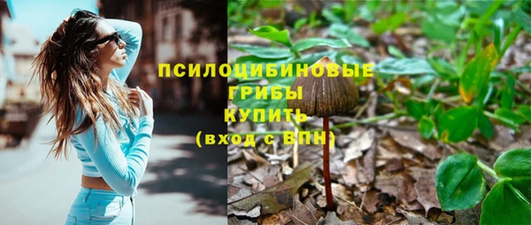трава Волоколамск