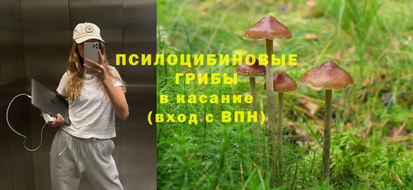 спайс Володарск