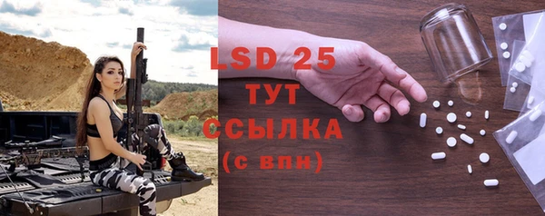 PSILOCYBIN Вяземский